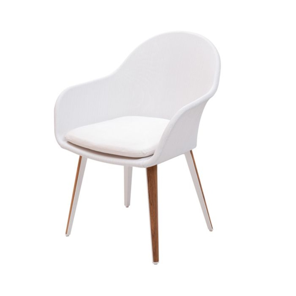 StyleNations_DINOSAUR-ARM-CHAIR-1