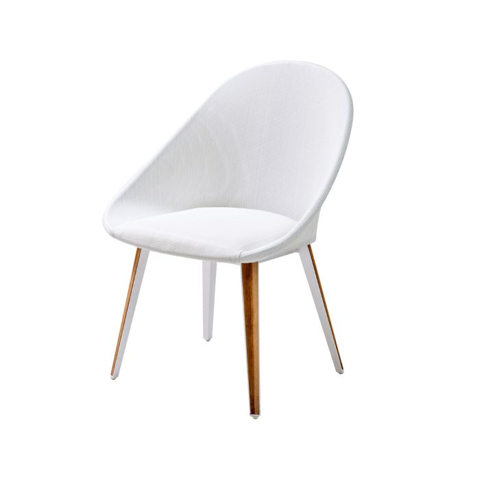 DINOSAUR DINING CHAIR