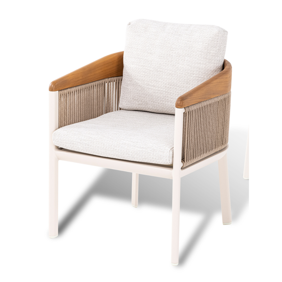 BIENNO DINING CHAIR 1