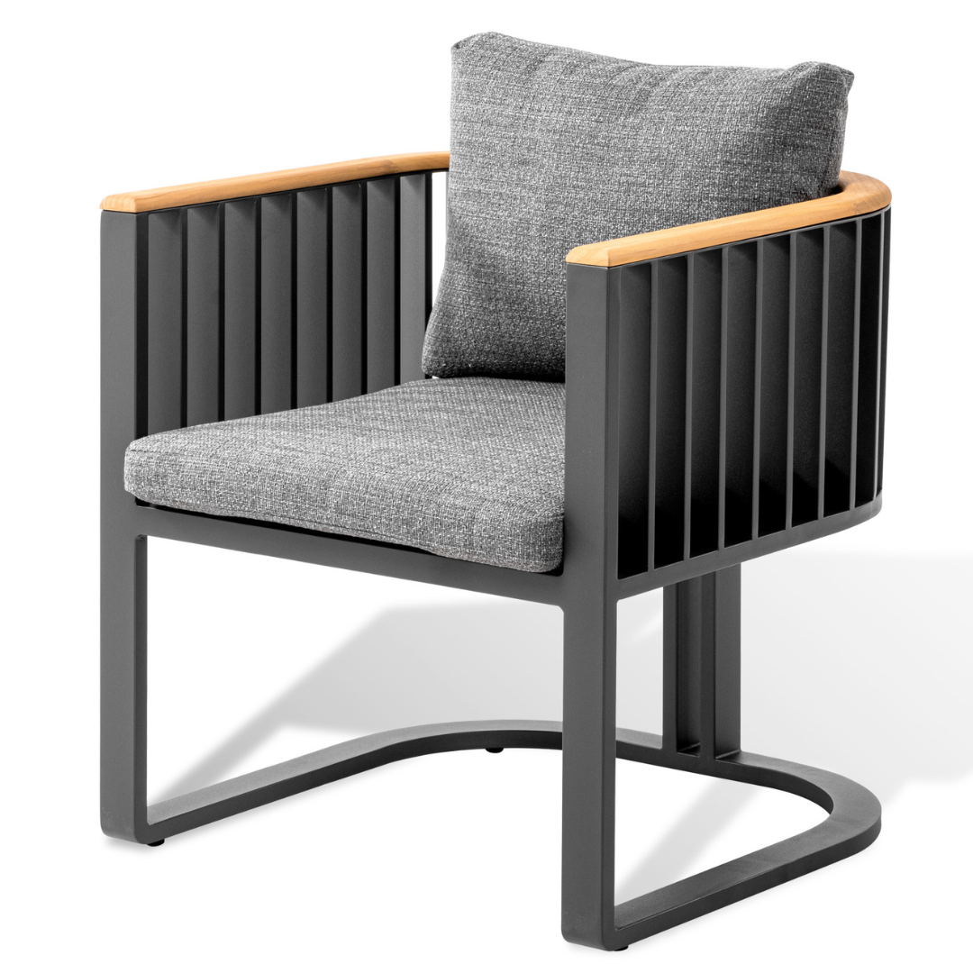Gap Dining Chair